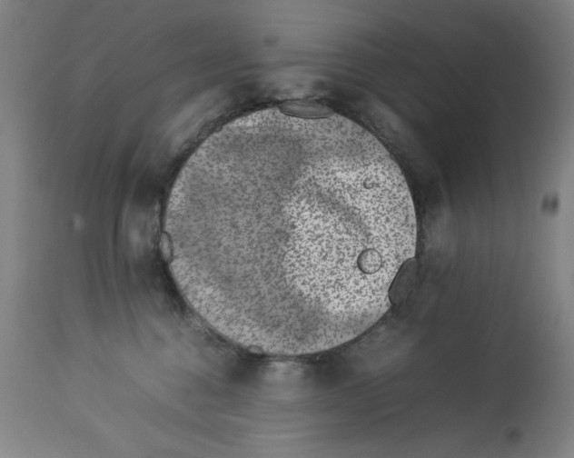 X0000112790376200909181519