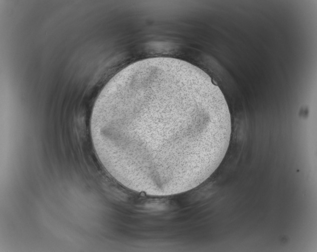 X0000112790377200909181519