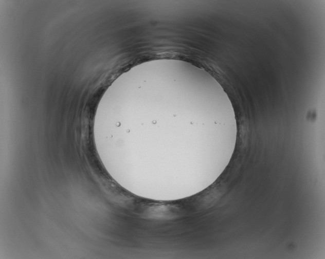 X0000112790379200909181519