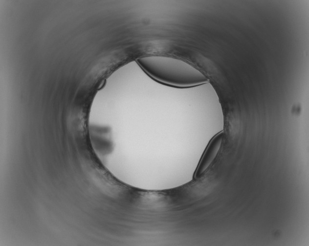 X0000112790380200909181519