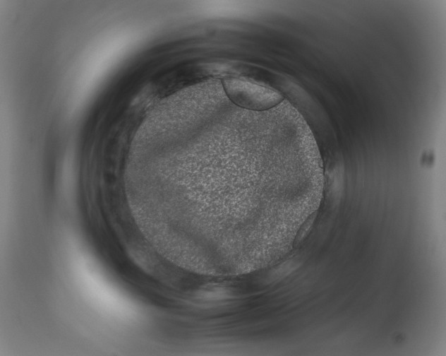 X0000112790381200909181519