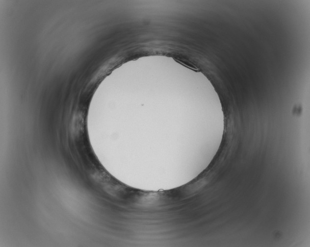 X0000112790382200909181519