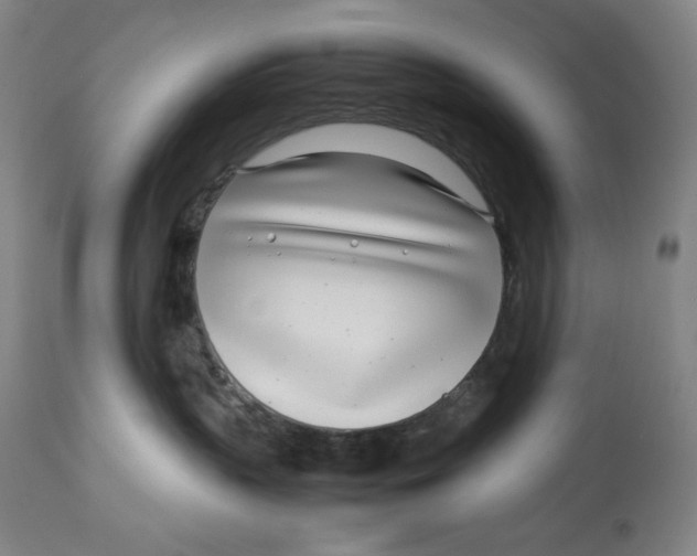 X0000112790383200909181519