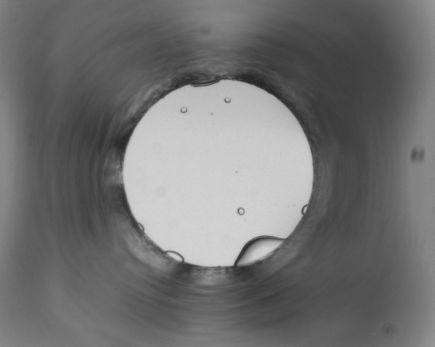 X0000112790384200909181519