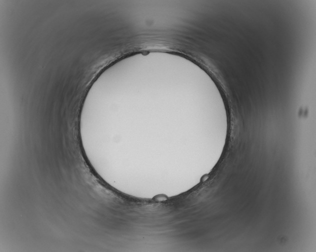 X0000112790385200909181519