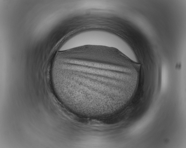 X0000112790387200909181519