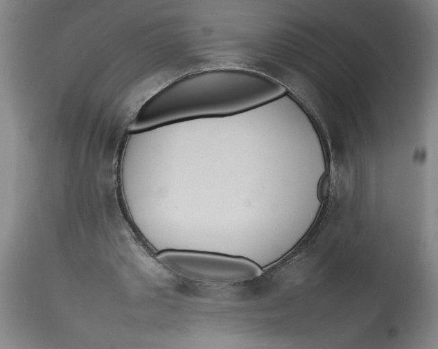 X0000112790389200909181519