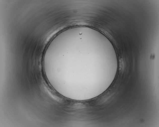 X0000112790390200909181519