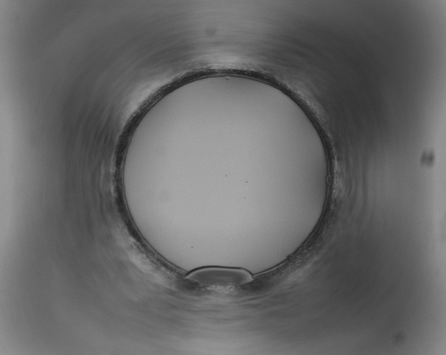 X0000112790391200909181519