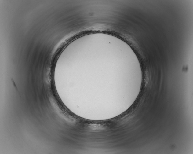 X0000112790392200909181519