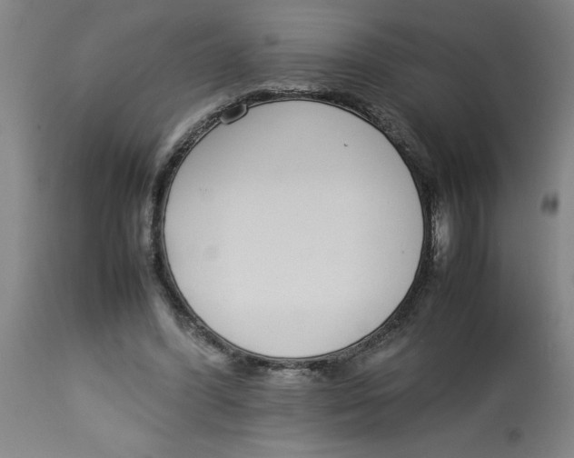 X0000112790396200909181518