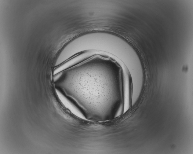 X0000112790397200909181518