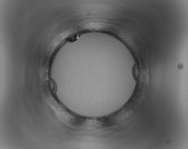 X0000112790399200909181518