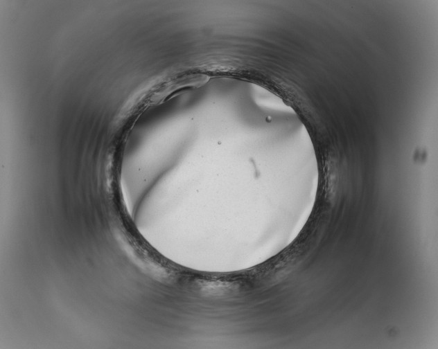 X0000112790400200909181518