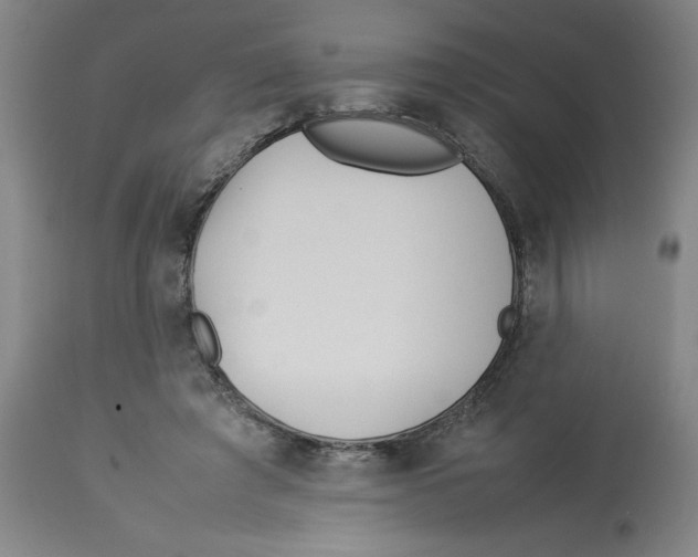 X0000112790401200909181518