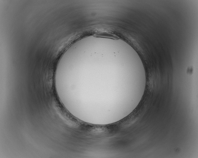 X0000112790402200909181518