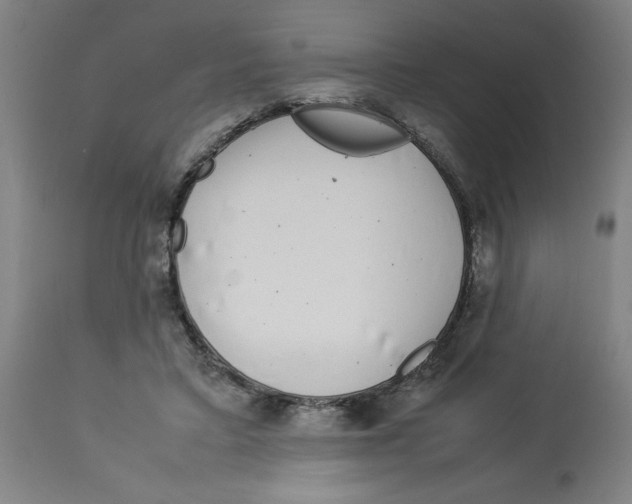 X0000112790403200909181518