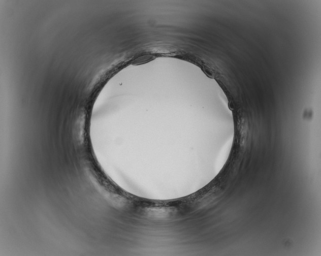 X0000112790404200909181518