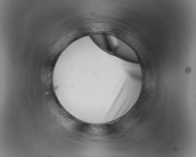 X0000112790405200909181518