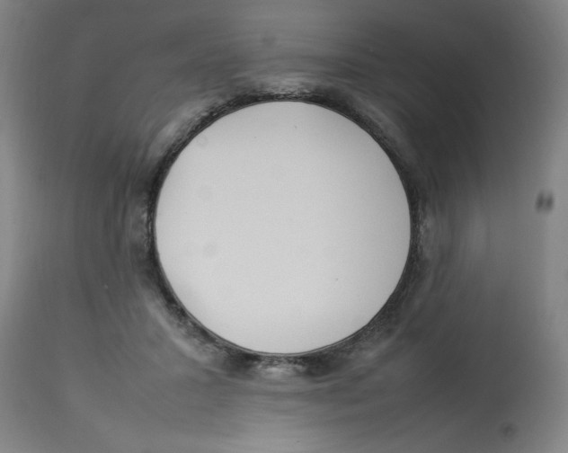 X0000112790407200909181518