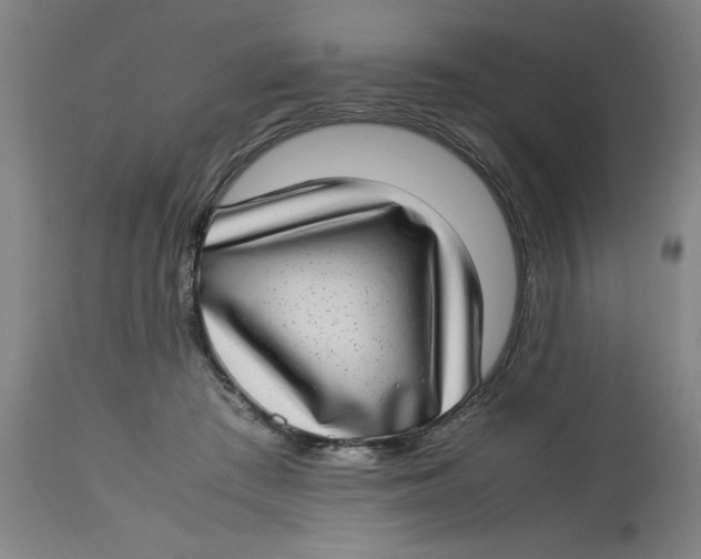 X0000112790409200909181518