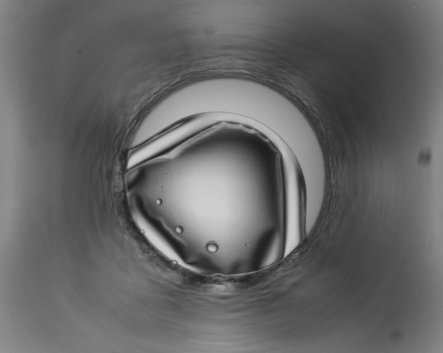 X0000112790411200909181518