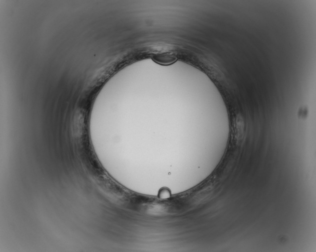 X0000112790412200909181518