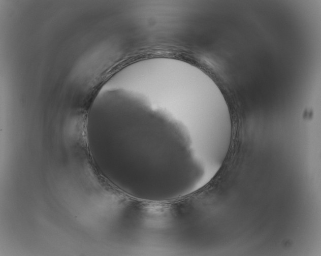 X0000112790415200909181518