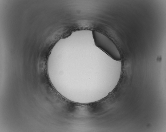 X0000112790417200909181518