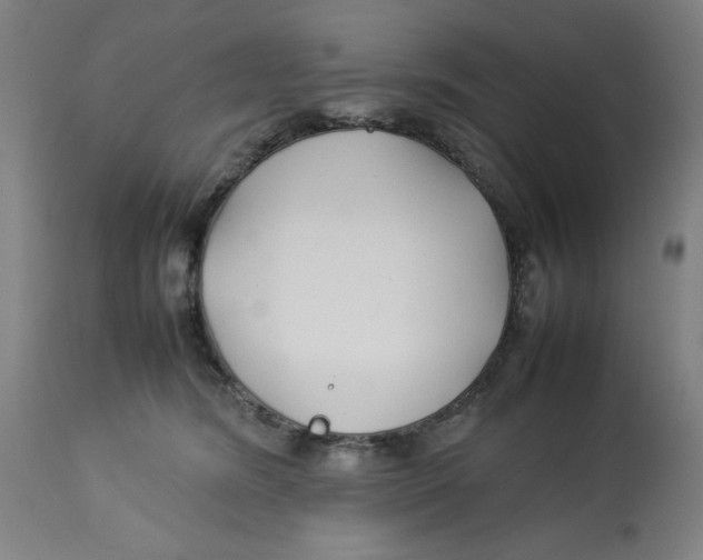 X0000112790420200909181518