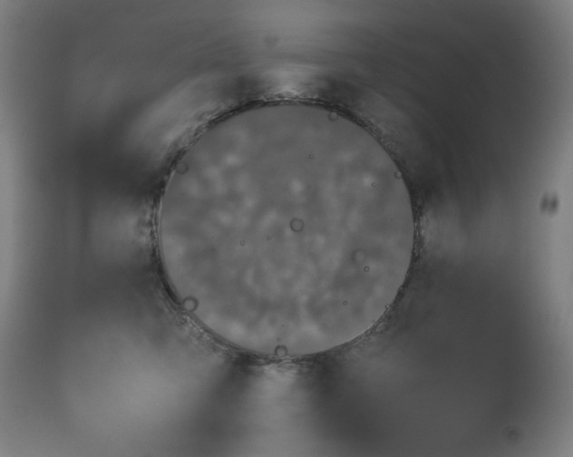 X0000112790423200909181518