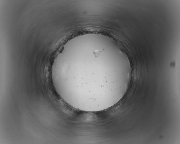 X0000112790424200909181518