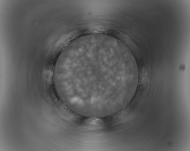 X0000112790427200909181518