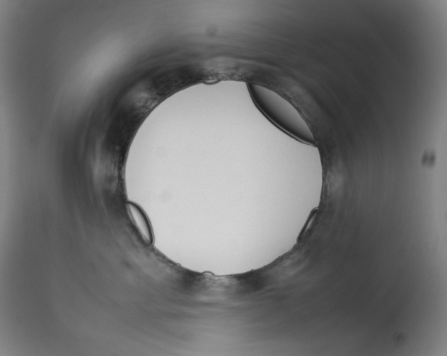 X0000112790429200909181518