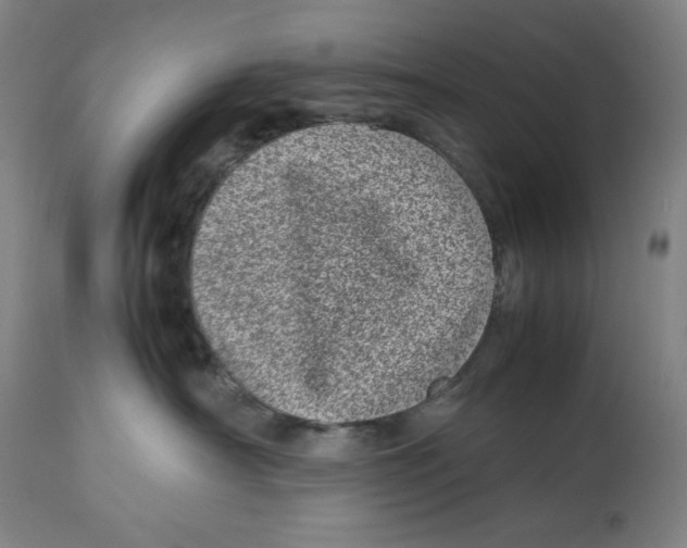 X0000112790430200909181518