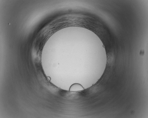 X0000112790431200909181518