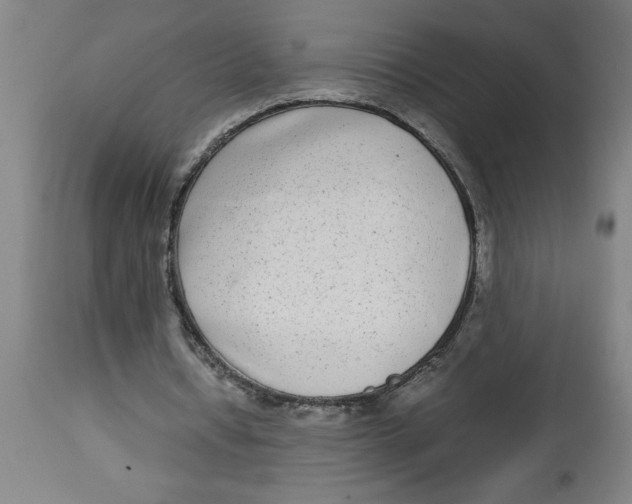 X0000112790434200909181517