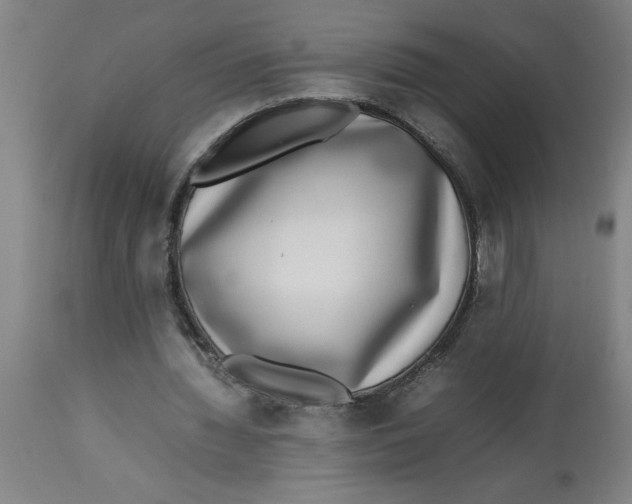 X0000112790436200909181517