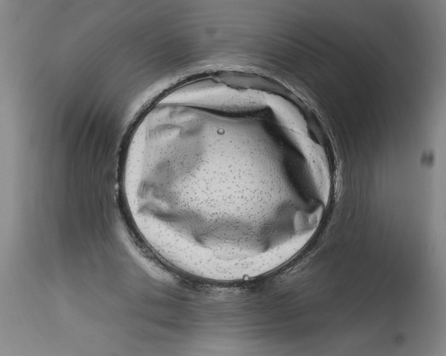 X0000112790438200909181517