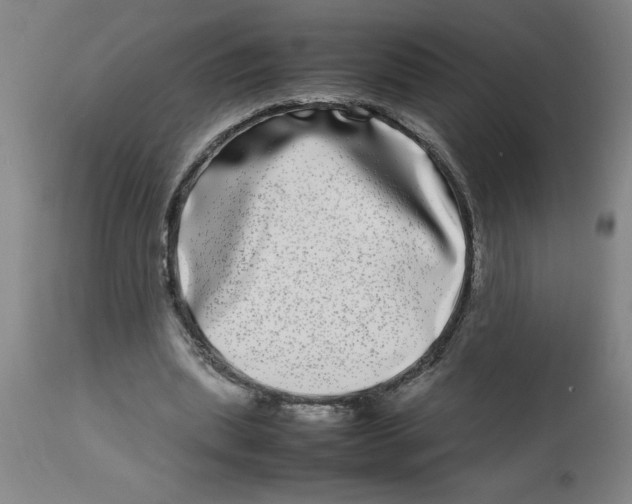 X0000112790439200909181517