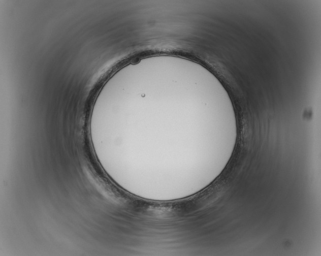 X0000112790440200909181517