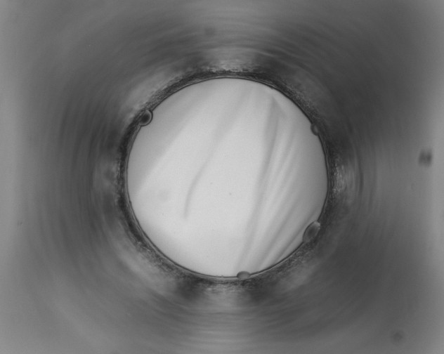 X0000112790444200909181517