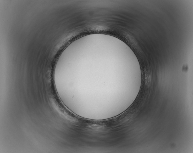 X0000112790447200909181517