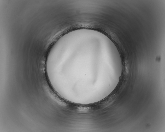 X0000112790450200909181517