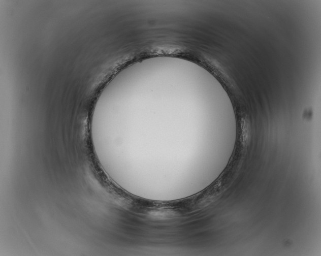 X0000112790451200909181517