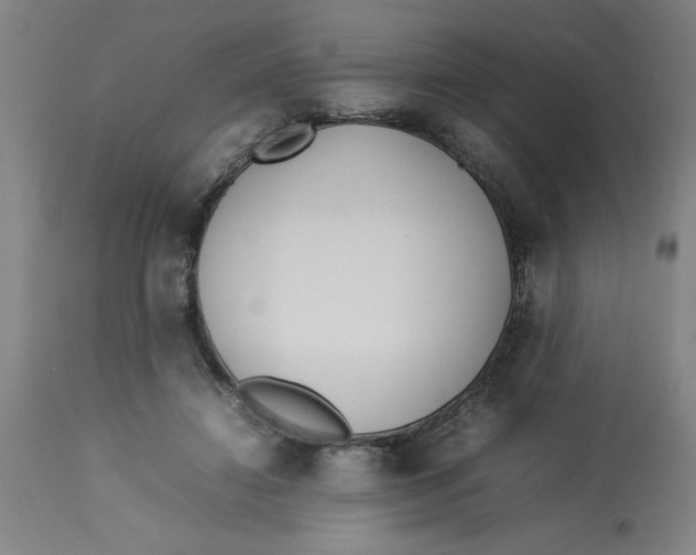 X0000112790452200909181517