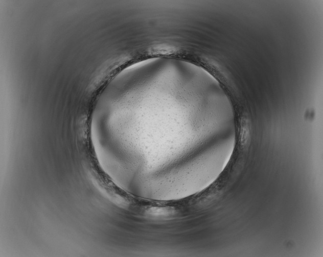 X0000112790455200909181517