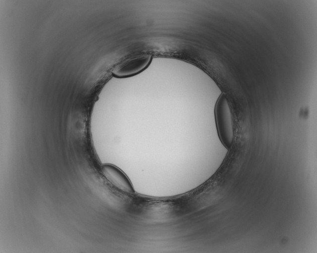 X0000112790456200909181517