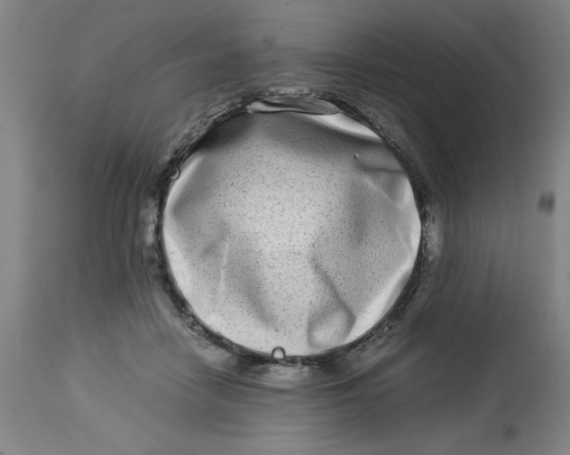 X0000112790458200909181517