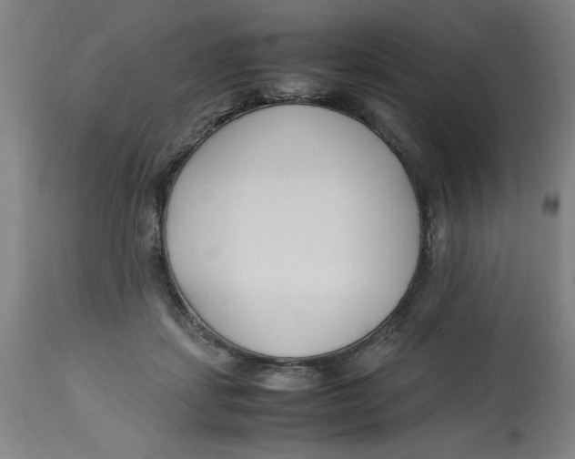 X0000112790459200909181517